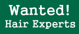 hair experts