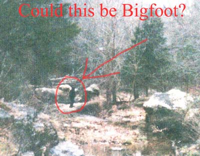 Oklahoma's bigfoot organization delves into mysterious sightings