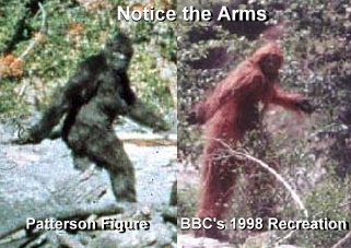 arms_comparison.jpg